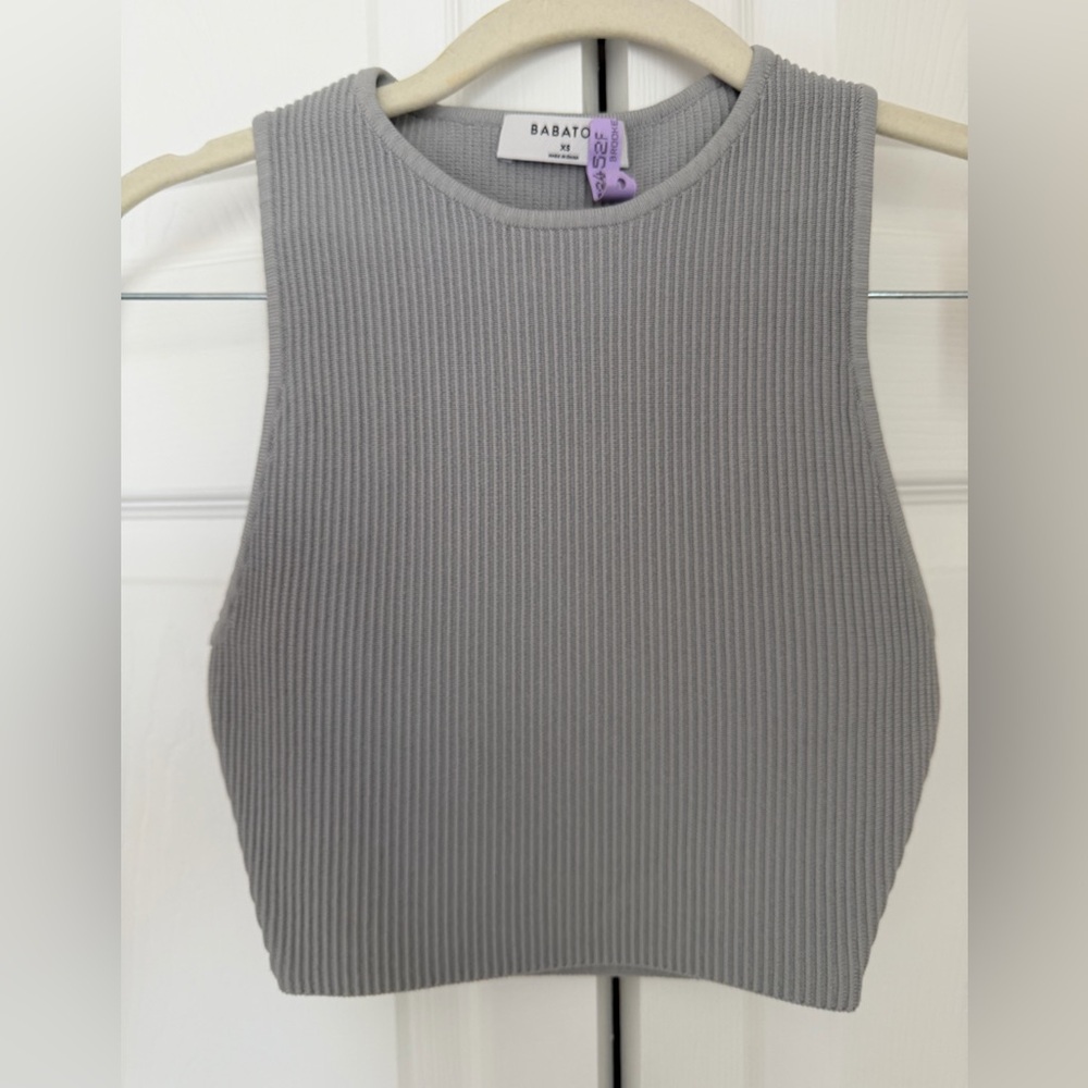 Babaton Aritzia Ribbed Gray Tank Top Cropped XS